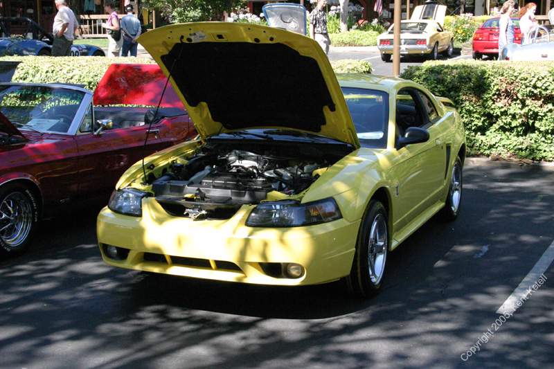 2005_Ponies&Snakes-151