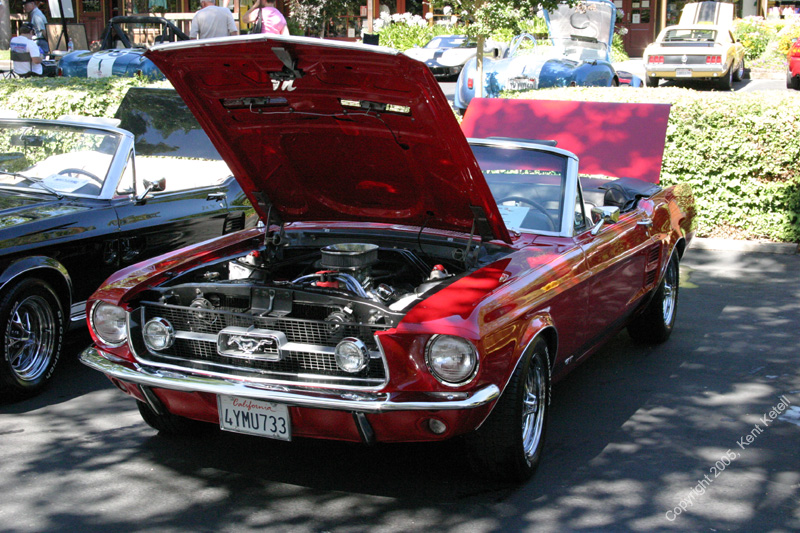 2005_Ponies&Snakes-152