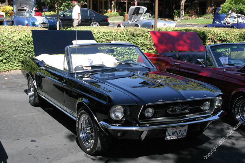 2005_Ponies&Snakes-155