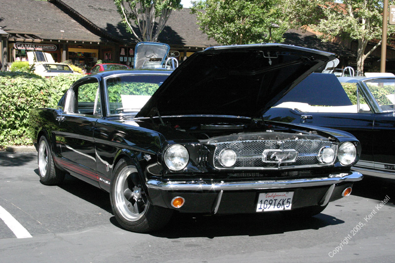 2005_Ponies&Snakes-157