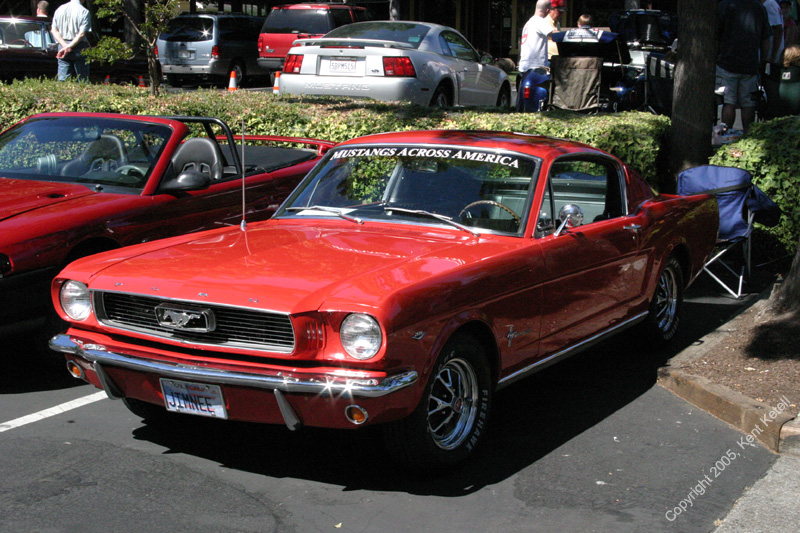 2005_Ponies&Snakes-159