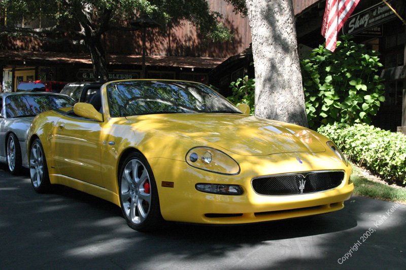 2005_Ponies&Snakes-180