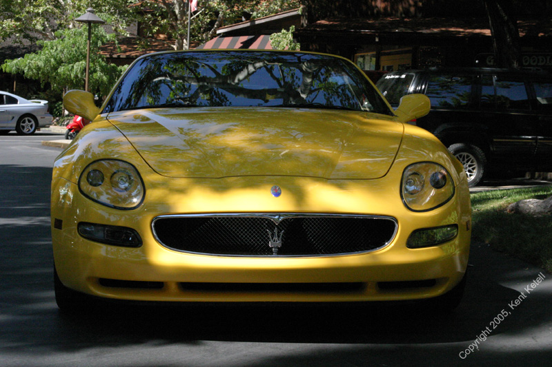2005_Ponies&Snakes-181