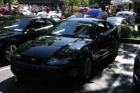 2005_Ponies&Snakes-031