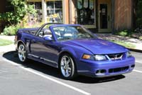 2005_Ponies&Snakes-032
