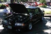2005_Ponies&Snakes-042