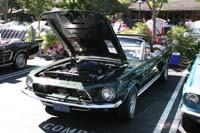 2005_Ponies&Snakes-048
