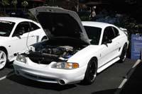 2005_Ponies&Snakes-096