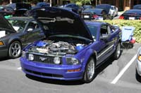 2005_Ponies&Snakes-117