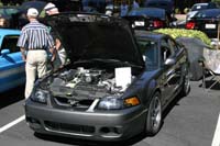 2005_Ponies&Snakes-120