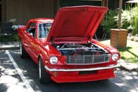 2005_Ponies&Snakes-148