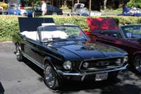 2005_Ponies&Snakes-155