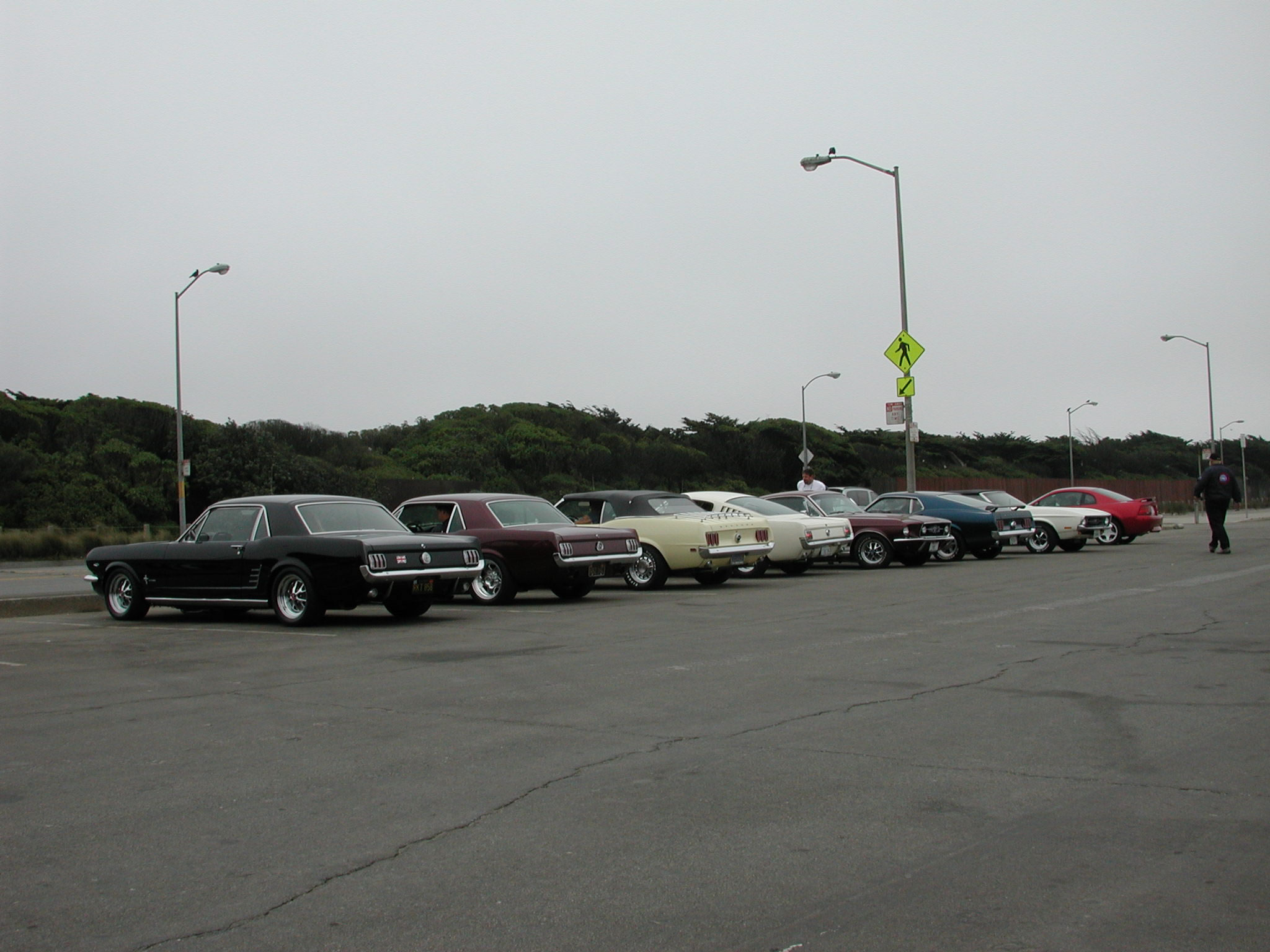 See, I did make it to Ocean Beach