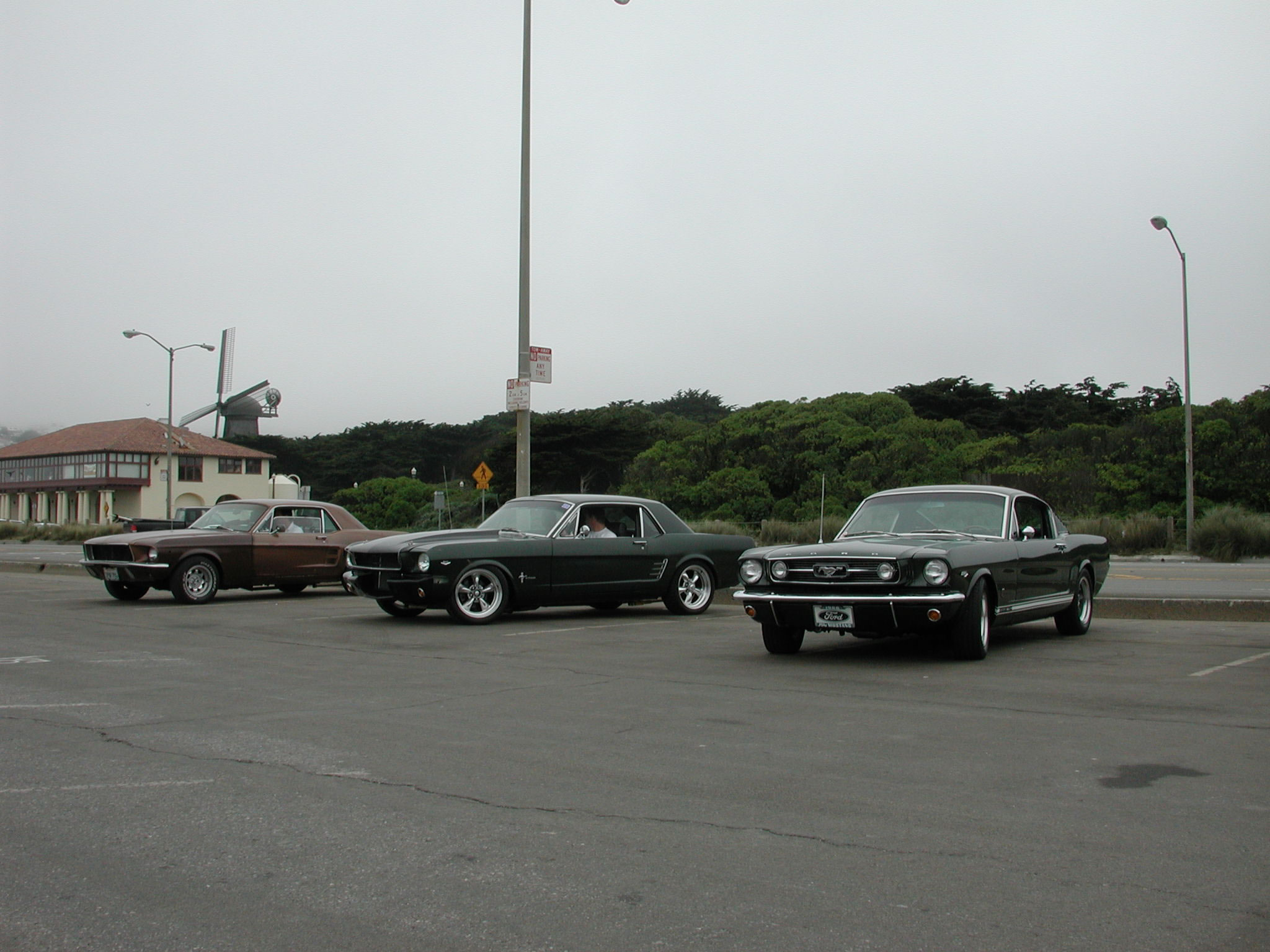The rest of the cars that made it to the beach.