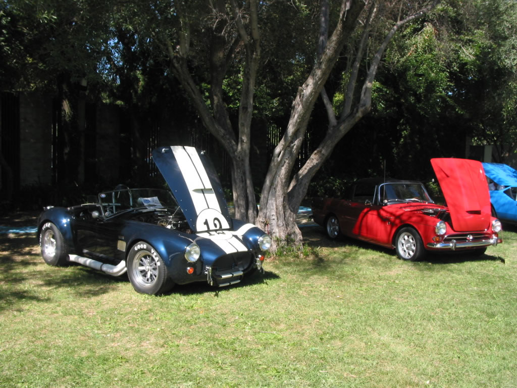 Cobra and Tiger.  Who could ask for more?