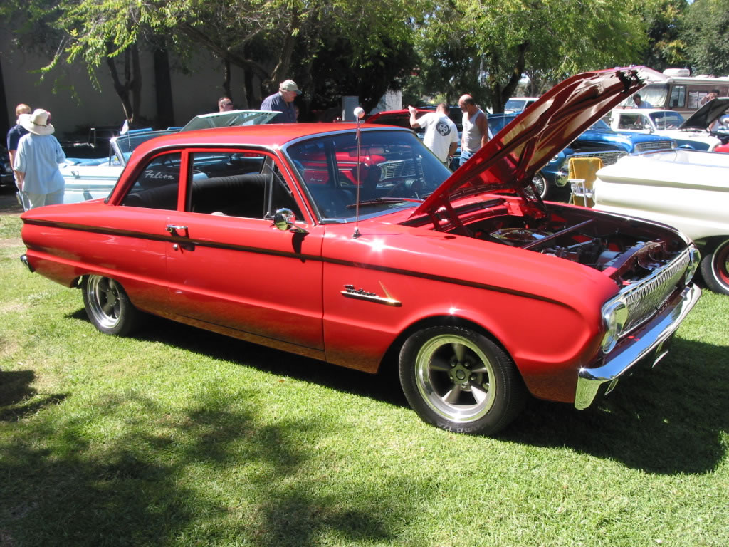 Lovely little Falcon