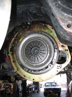 McLeodScatterShield09