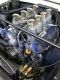 Vintage Ford 302 w/Webers