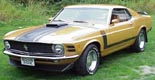VMF GoldenBoss - '70 Boss