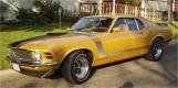 M Vasquez - '70 Boss 302