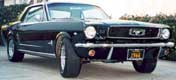 VMF shaun - '66
